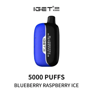 Iget Moon 5000 Puffs Blueberry